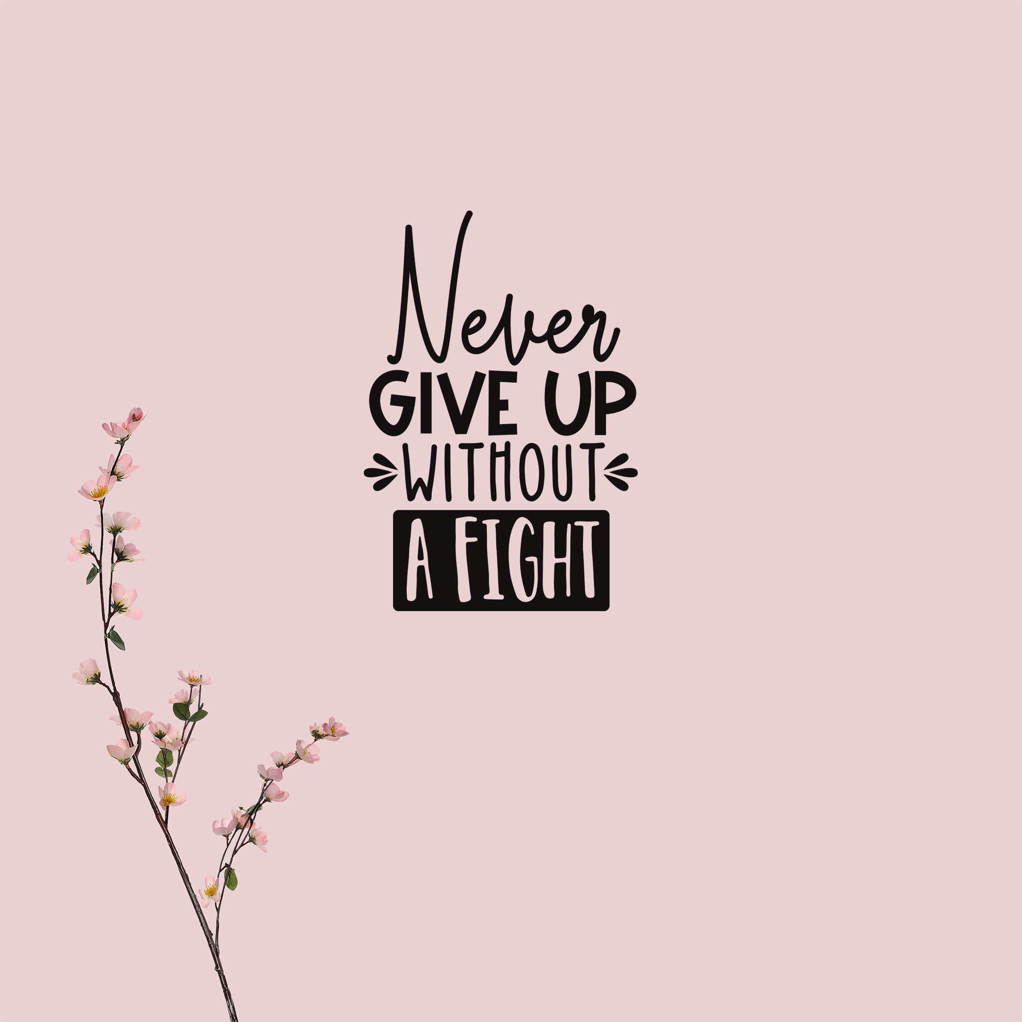 Never give up without a fight