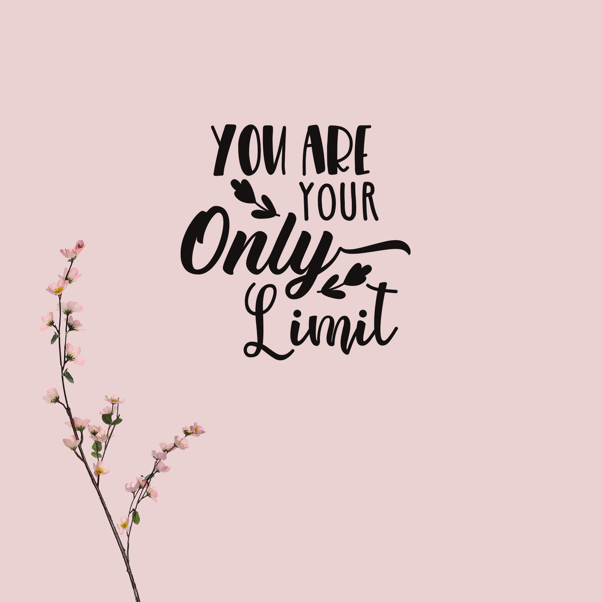 You are your only limit