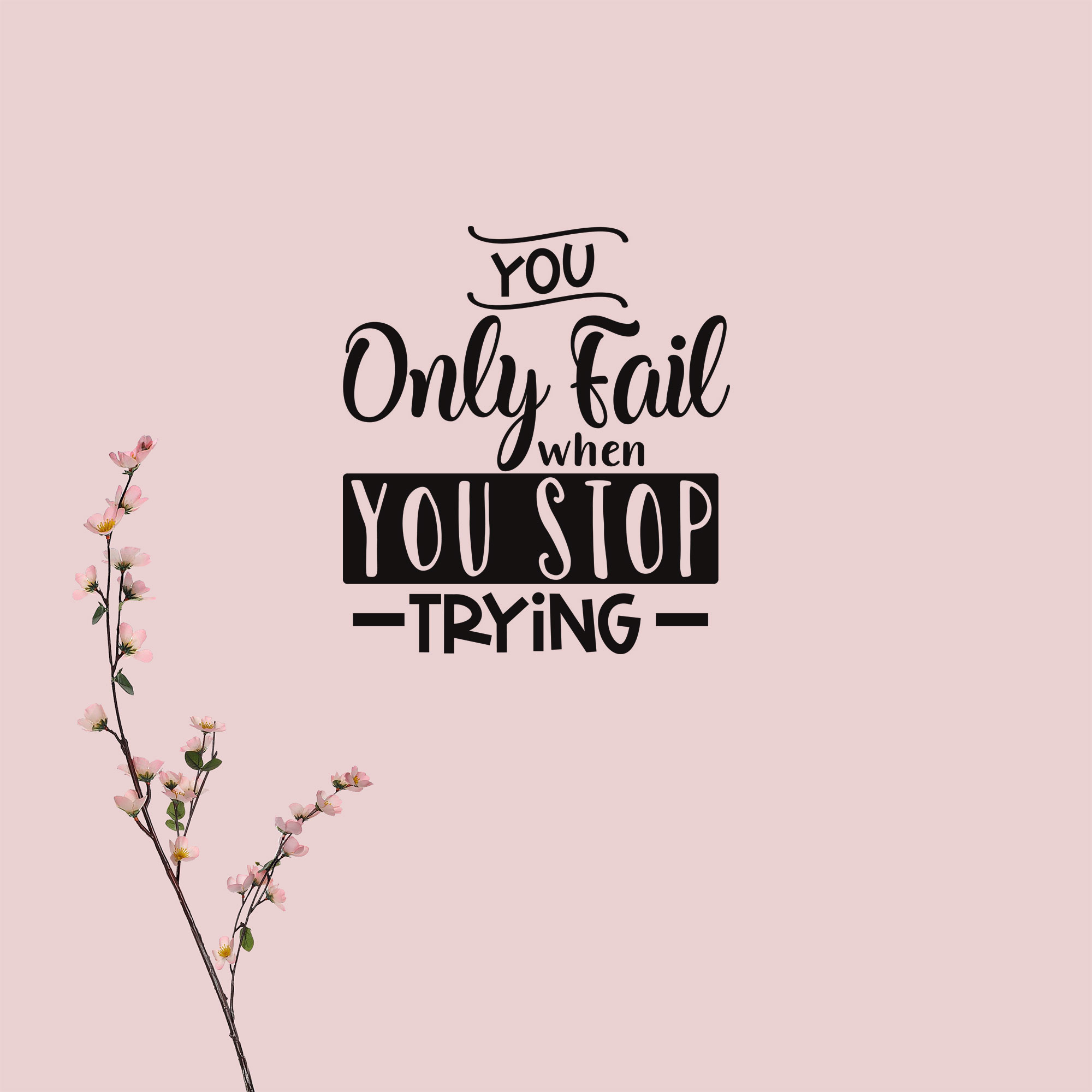 You only fail when you stop trying