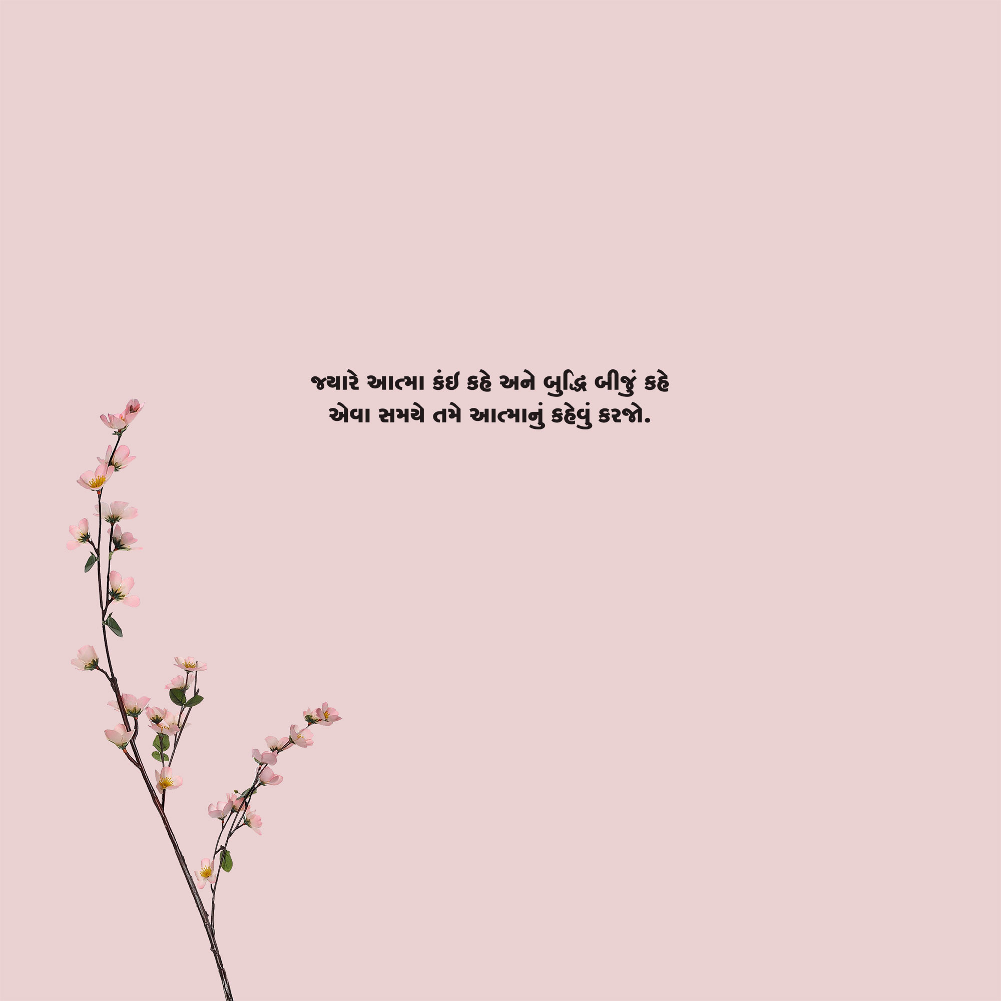 Gujarati Quote 103