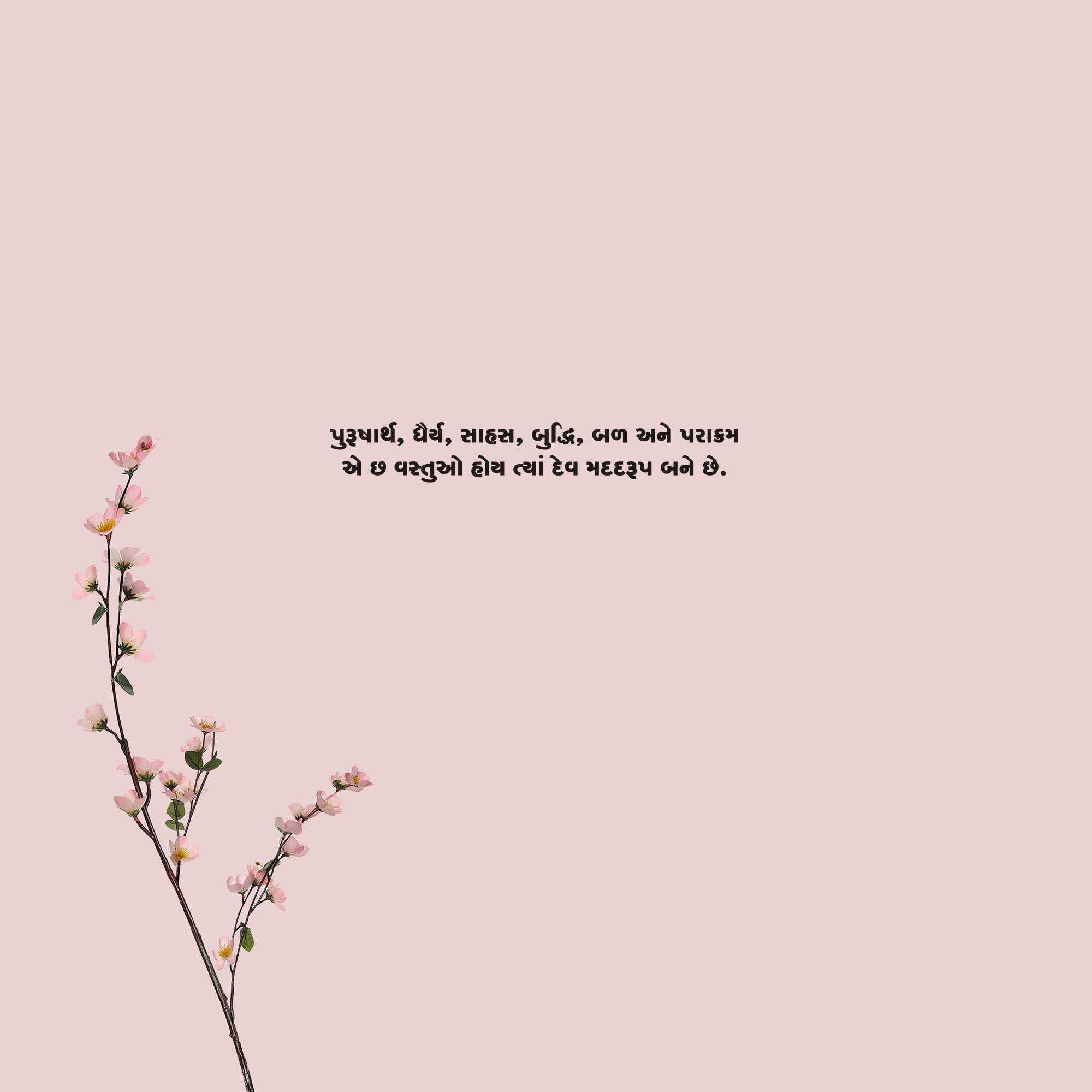 Gujarati Quote 57