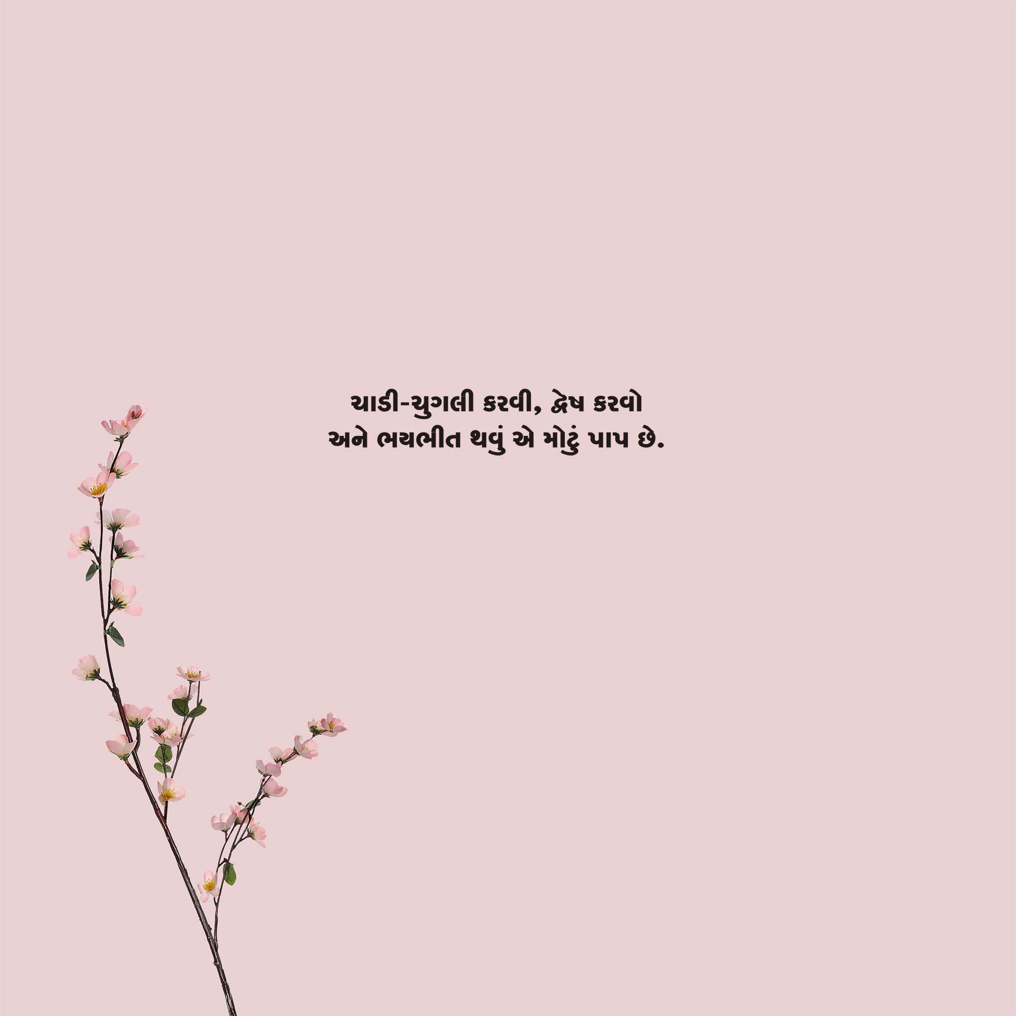 Gujarati Quote 88