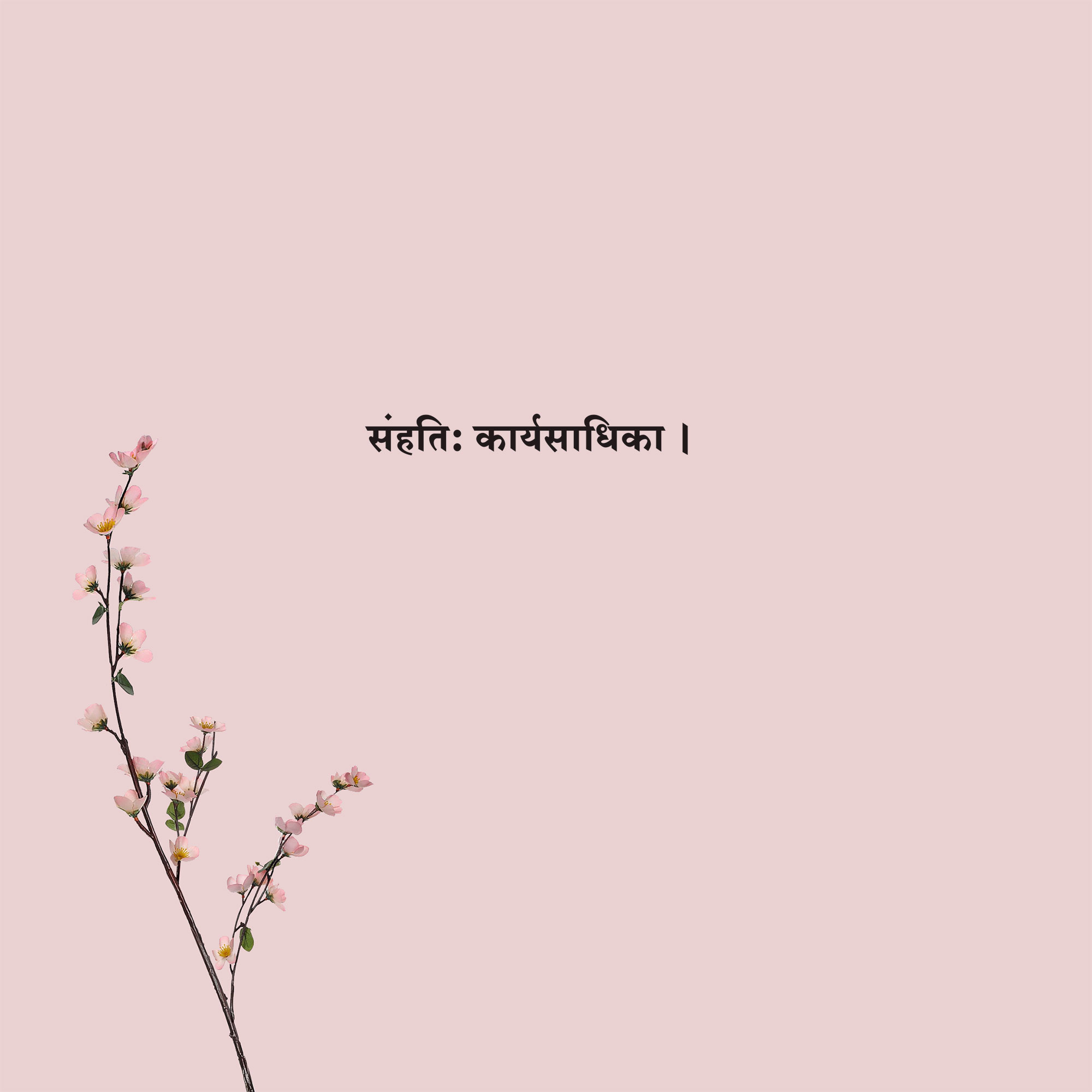 Sanskrit Quote 44