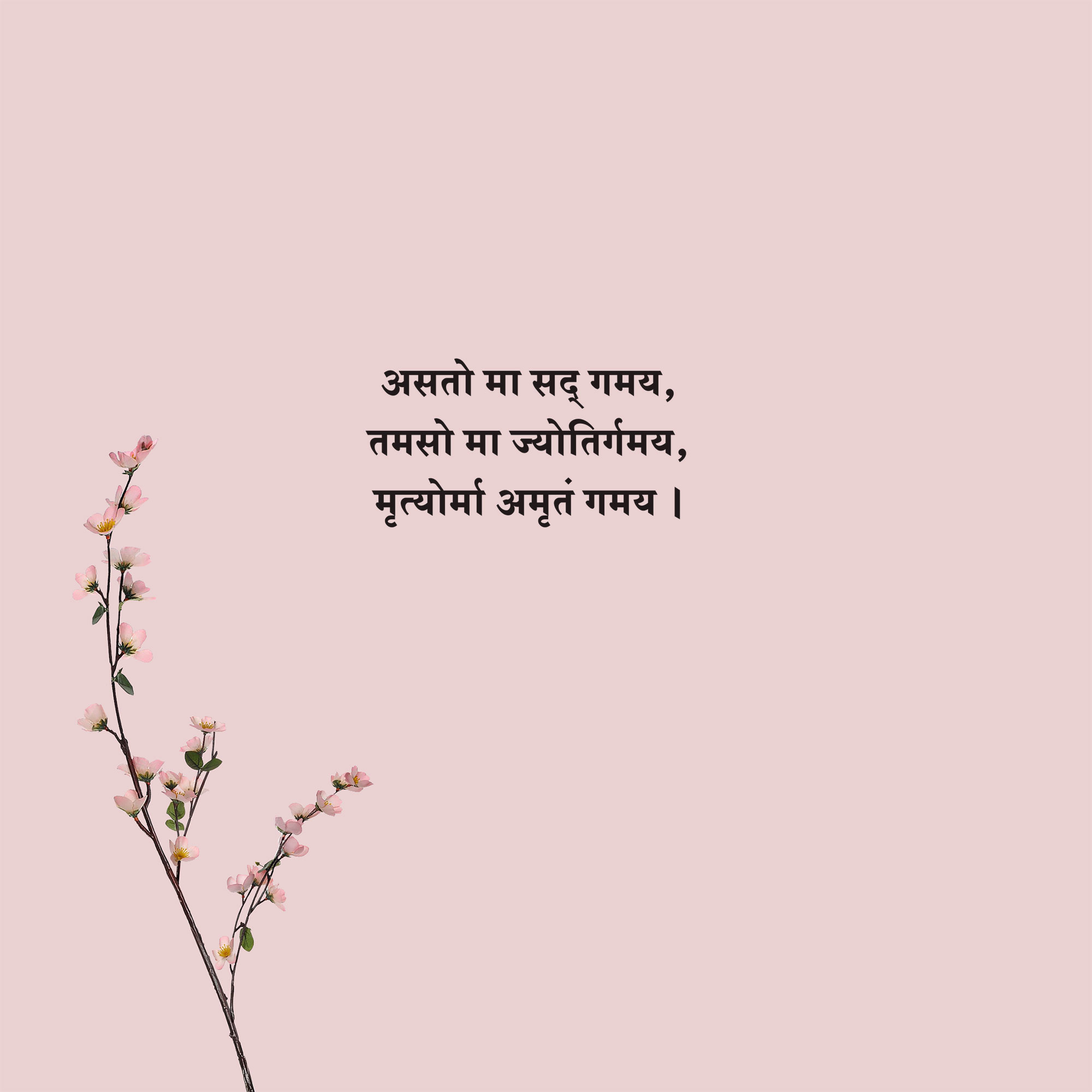 Sanskrit Quote 69