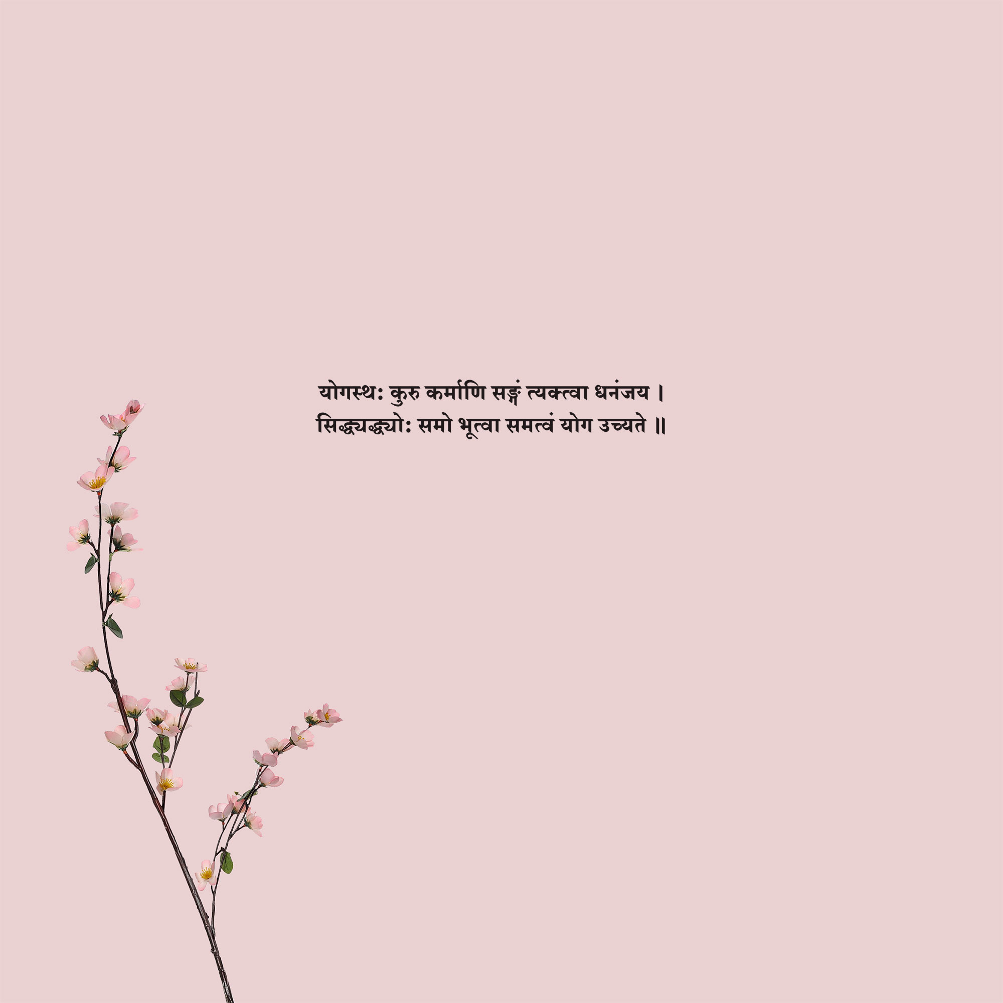 Sanskrit Quote 80